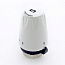 Термостатическая головка D M30х1,5 UNI-FITT
