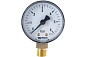 Манометр радиальный F+R200 50 мм 1/4" 16 бар WATTS