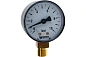 Манометр радиальный F+R200 50 мм 1/4" 10 бар WATTS