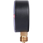 Манометр радиальный F+R201 63 мм 3/8" 4 бар WATTS