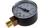 Манометр радиальный F+R200 50 мм 1/4" 10 бар WATTS