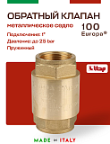 Клапан EUROPA ITAP 100 обратный пружинный (металлическое седло) 1"